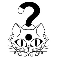 Cat Question
