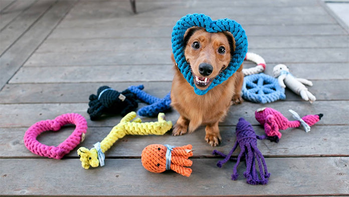 Dog Toys