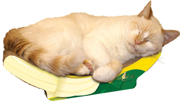 Cat Claws - Banana Scratchers