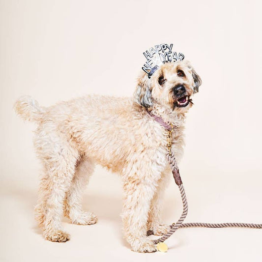 Found My Pet - Adjustable Dog Leashes