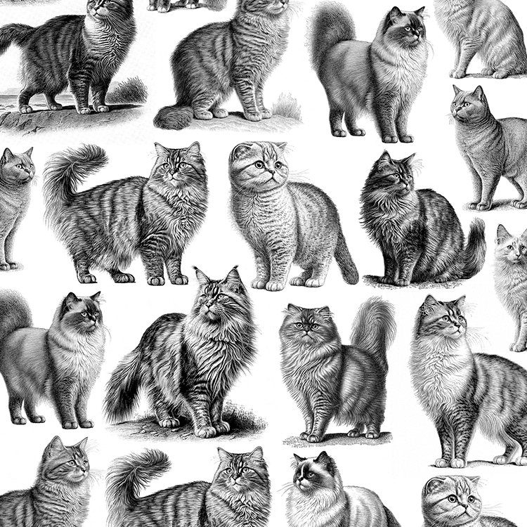 Rubyzaar - BC Hip Bag