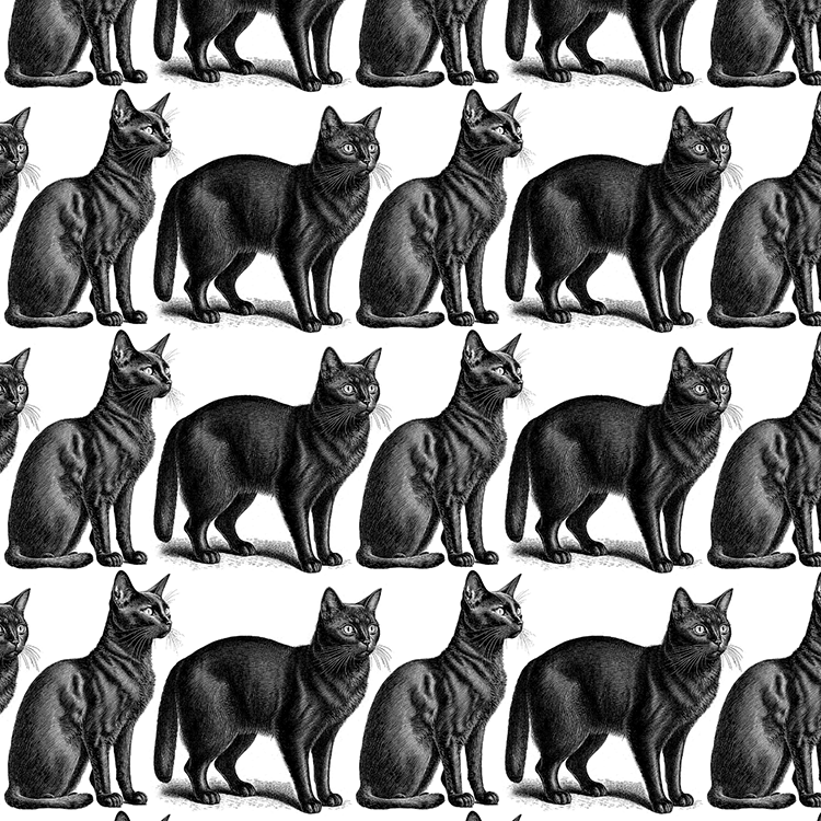 Rubyzaar - BC Hip Bag