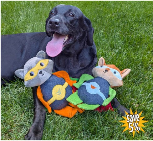 Dog Meets Toy - 12" Super Hero Team Plus Dog Toy