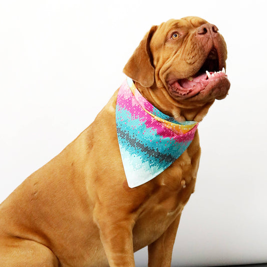 Lightwave Dog Bandana