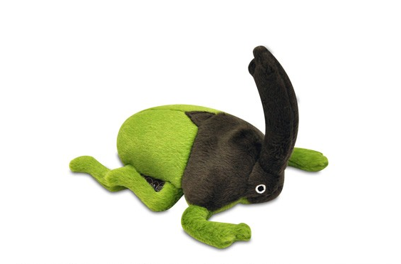 Ryan The Rhino Beetle