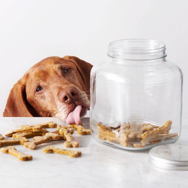 Dog Treats