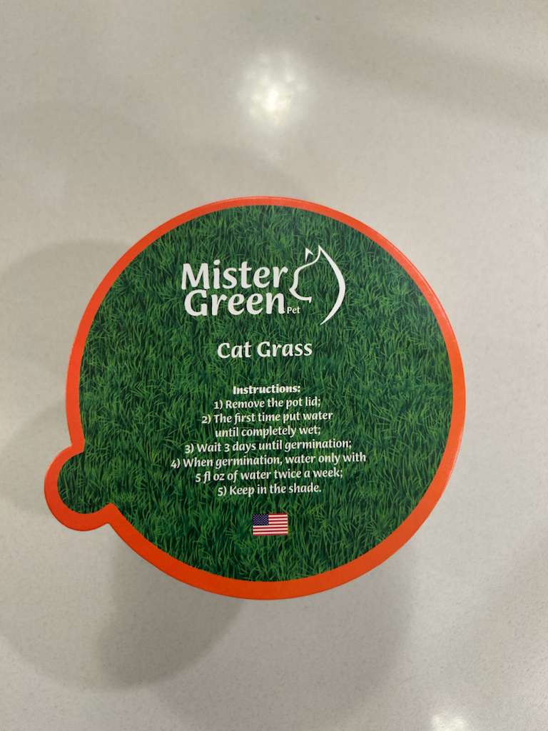 Cat Grass Grow Kit for Indoor Cats – Organic – Easy Grow