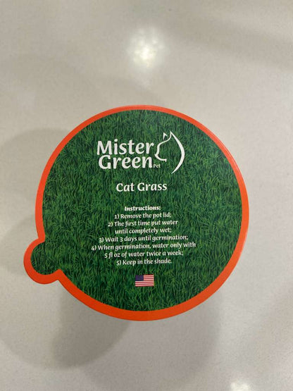 Cat Grass Grow Kit for Indoor Cats – Organic – Easy Grow