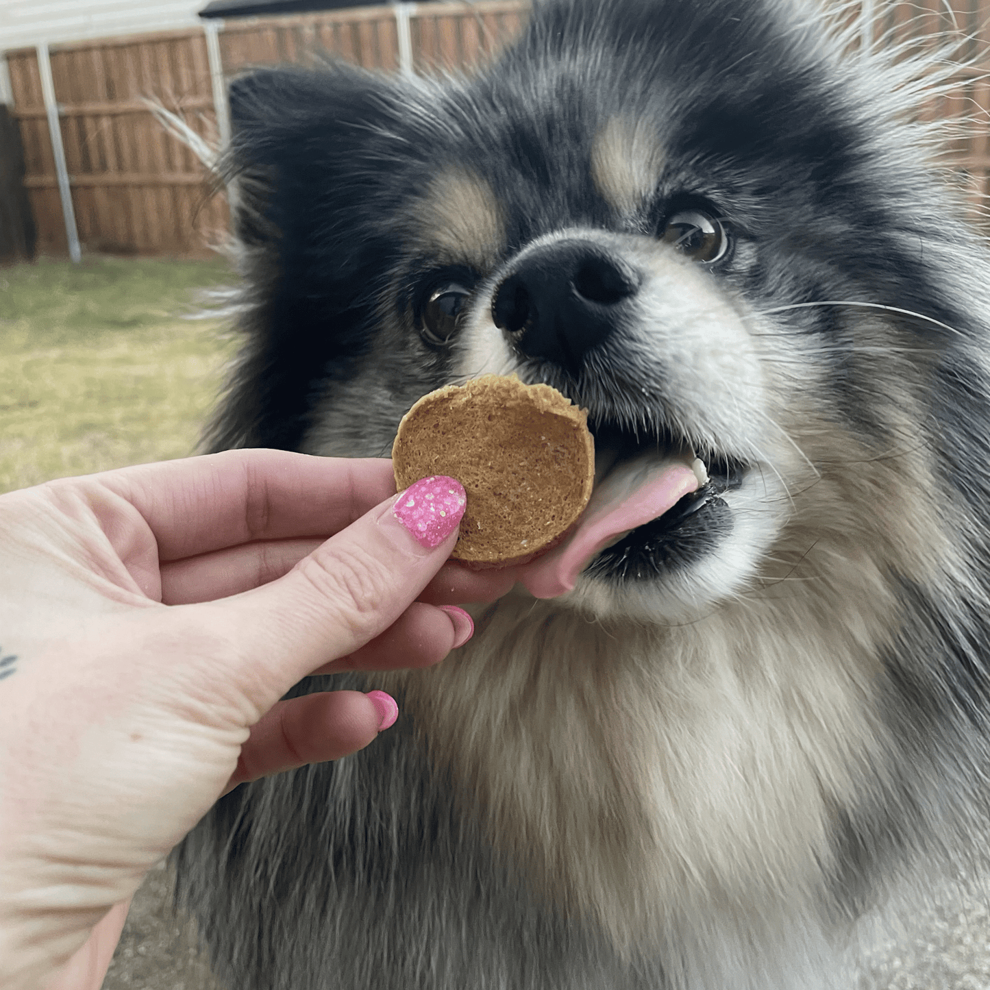Farm To Pet: Fish Chips Dog Treats