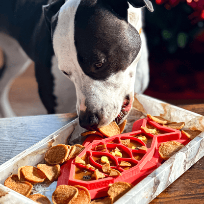 Fish Chips Healthy Dog Snack Pack (6 pieces)