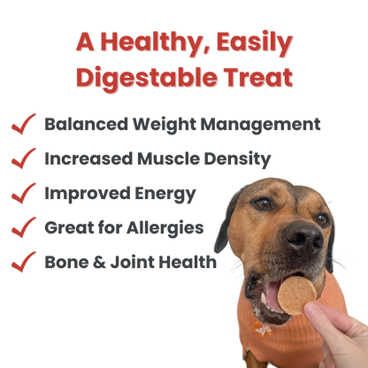 Fish Chips Healthy Dog Snack Pack (6 pieces)