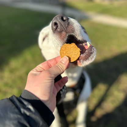 Farm To Pet: Fish Chips Dog Treats