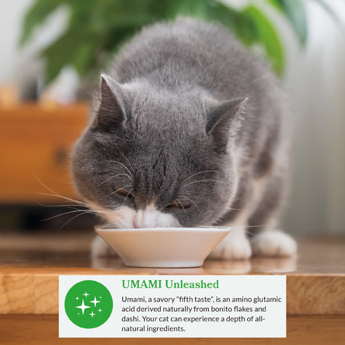 Dashi Delights Cat Food