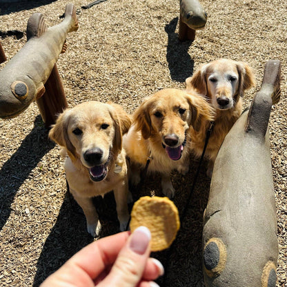 Farm To Pet: Fish Chips Dog Treats