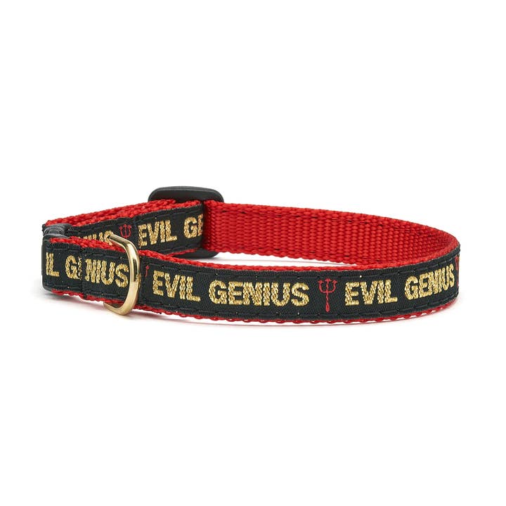 Up Country Cat Collars