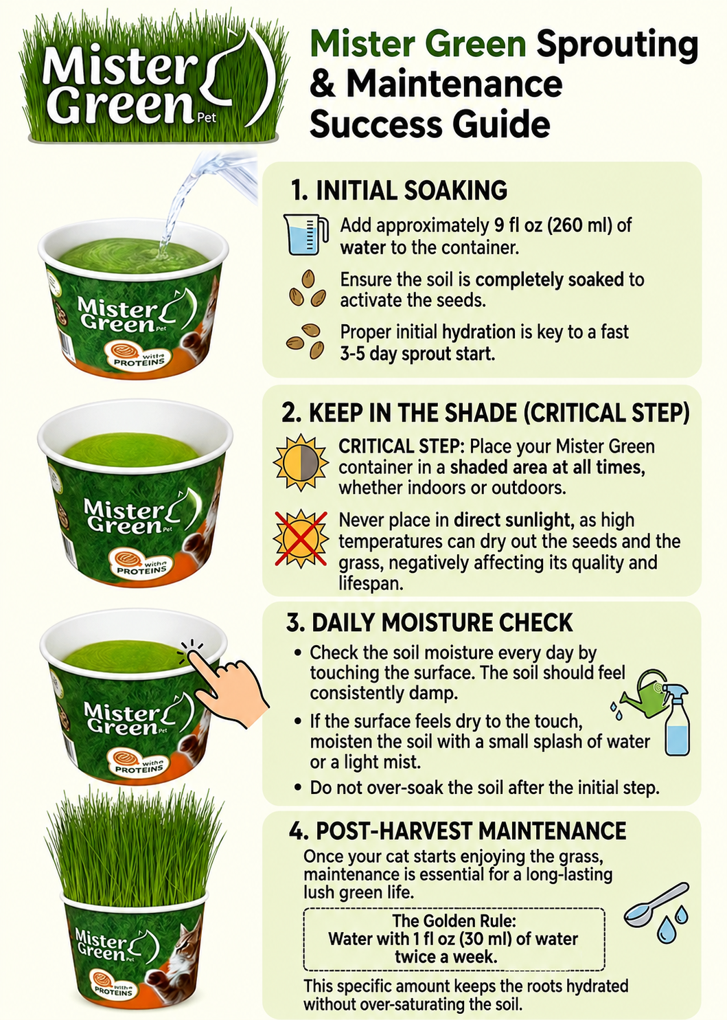 Cat Grass Grow Kit for Indoor Cats – Organic – Easy Grow