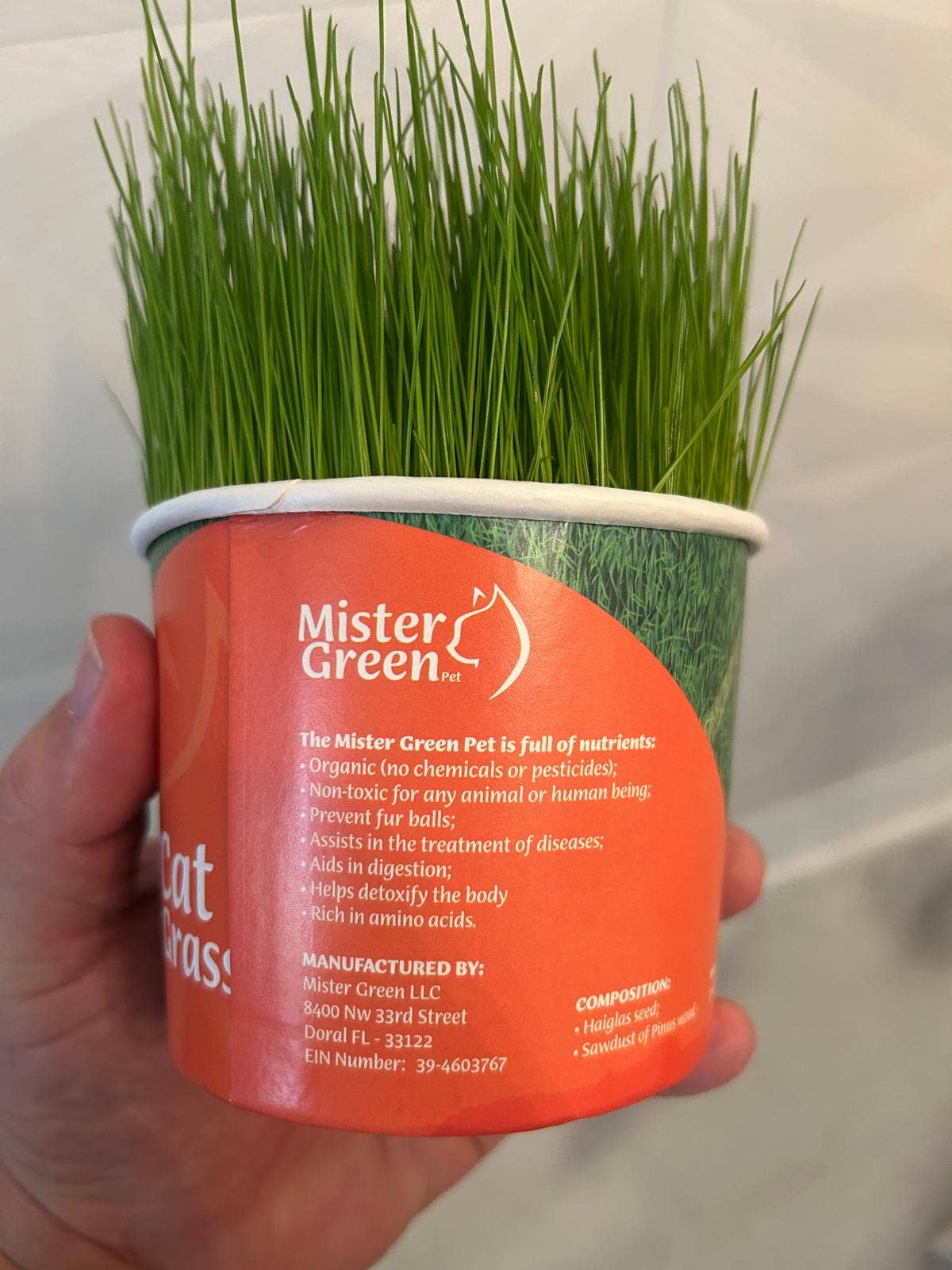 Cat Grass Grow Kit for Indoor Cats – Organic – Easy Grow