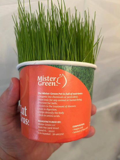 Cat Grass Grow Kit for Indoor Cats – Organic – Easy Grow