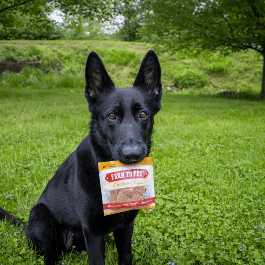 Chicken Chips Snack Packs for Dogs (24)