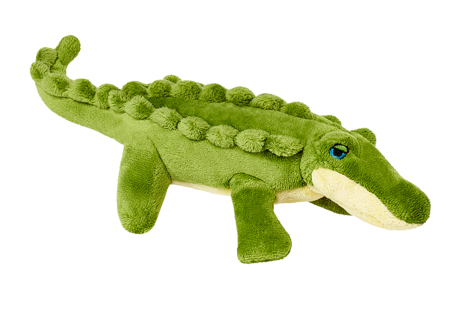 Savannah Baby Gator