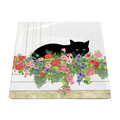 Small Square Plates